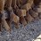 land-pride-15-48-image-6