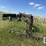john-deere-9350-image-5
