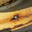 john-deere-630-image-88