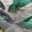 john-deere-three-point-three-bottom-plow-image-16