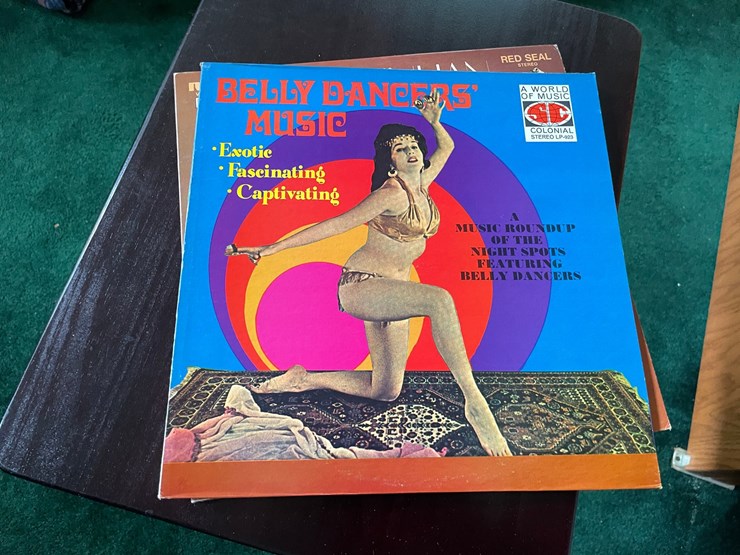#7326-•-(5)-vinyl-records-image-10