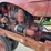 1951-massey-ferguson-44-image-46