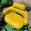 john-deere-3020-image-51
