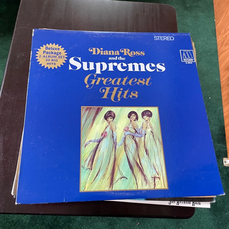 #7328 • (11) Vinyl Records