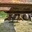 2003-caterpillar-539-image-70
