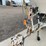 #2798-•-1999-chaparral-signature-27-cabin-cruiser-boat-image-11