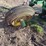 john-deere-no.-55-a-b-h-pull-type-three-bottom-plow-image-20