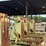 #186-•-hmc-ac50bd-carriage-image-16