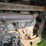 2017-polaris-ranger-500-image-15