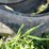 #4696-•-(5)-tractor-tires-image-9