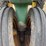 john-deere-g-image-31