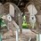 #198-•-floor-stand-fans-image-3