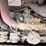 2015-caterpillar-d6k2-lgp-image-20