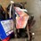 tool-carriers-and-contents-image-3