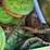 1995-john-deere-9500-image-32