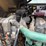 2020-volvo-a25g-image-23