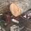 #156-•-4-strand-log-deck-image-6