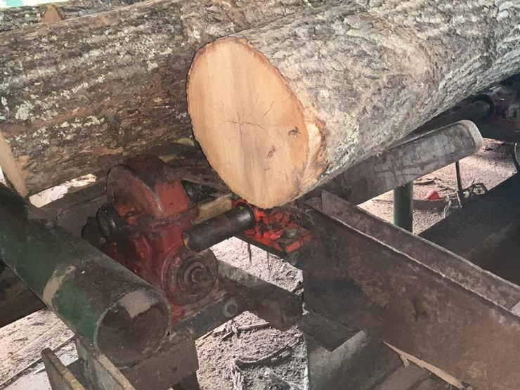 #156-•-4-strand-log-deck-image-6