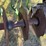 2013-summers-mfg-2510dt-image-11