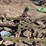 john-deere-no.-55-a-b-h-pull-type-three-bottom-plow-image-10