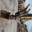 caterpillar-308c-image-5