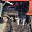 zetor-3320-image-8