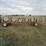 hesston-3991-image-3