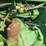 john-deere-620-image-34