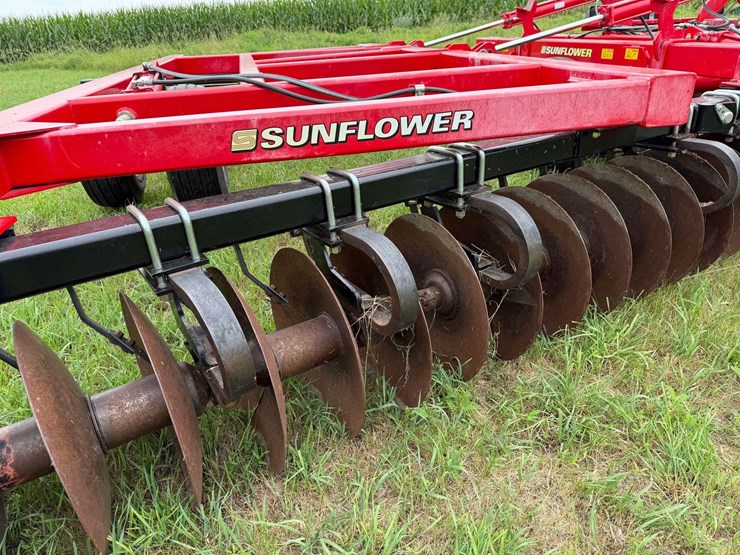 sunflower-1435-image-49