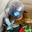 #4719-•-household-decorations-image-2