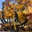 2007-utility-3-axle-image-9