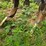 dmi-730-image-32