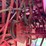 case-ih-1660-image-45