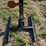 #4019-•-target-tree-image-3
