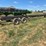 2016-industries-header-trailer-image-2