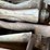 #111-•-40'-log-conveyor-image-9