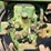 john-deere-70-image-67