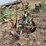 john-deere-three-point-three-bottom-plow-image-8