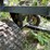 #7009-•-small-lawn-&-dump-trailer-image-10