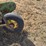 john-deere-three-point-three-bottom-plow-image-17