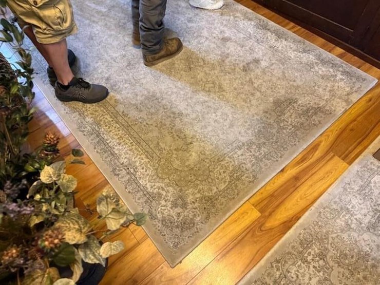 (3)-misc-rugs-image-11