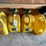 diesel-fuel-cans-image-1