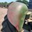 john-deere-630-image-79