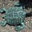 #108-•-metal-art---medium-teal-turtle-image-3