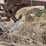 john-deere-pull-type-four-bottom-plow-image-19