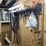 #7130-•-contents-of-shelving-and-corner-image-2
