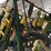 #151-•-universal-machinery-pallet-nailer-image-11