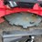 #2044-•-ray-tree-60"-skid-steer-disc-mulcher-image-4