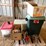 #4716-•-assortment-of-christmas-items-image-1