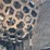 #168-•-morbark-hd30-mulch-hog-image-24